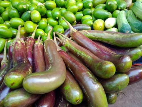 হঠাৎ বেগুন সহ বিভিন্ন সবজির দাম বেড়েছে কেন?