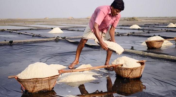 দেশে ৬২ বছরের মধ্যে সর্বোচ্চ লবণ উৎপাদন