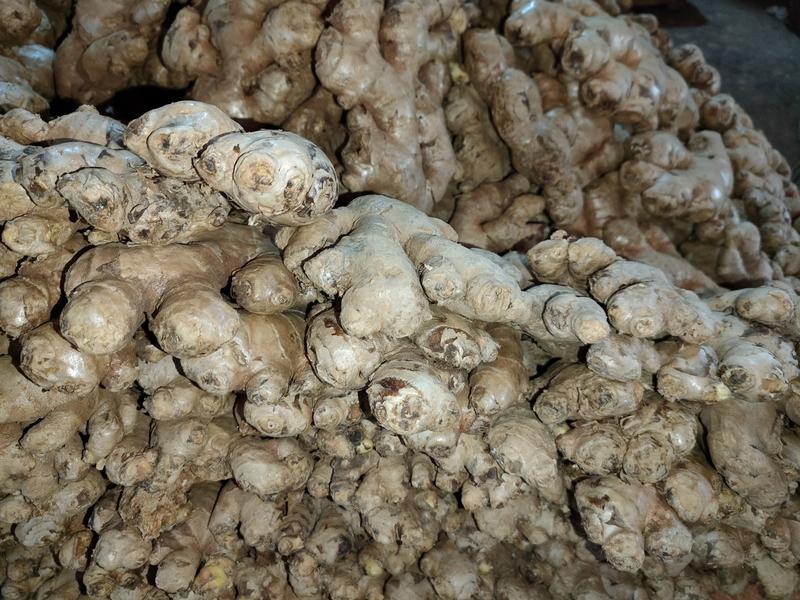 আদার দাম আকাশছোঁয়া, চায়না আদা মার্কেট আউট