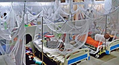 ডেঙ্গুতে আরও ৬ জনের মৃত্যু, হাসপাতালে ৮৮২