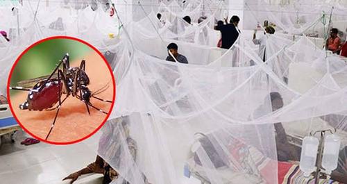 এক সপ্তাহে ডেঙ্গুতে প্রাণ গেলো ৩২ জনের
