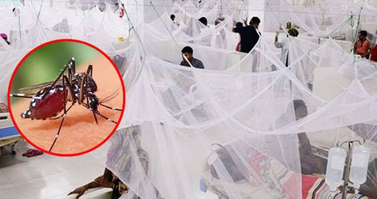 এক সপ্তাহে ডেঙ্গুতে প্রাণ গেলো ৩২ জনের