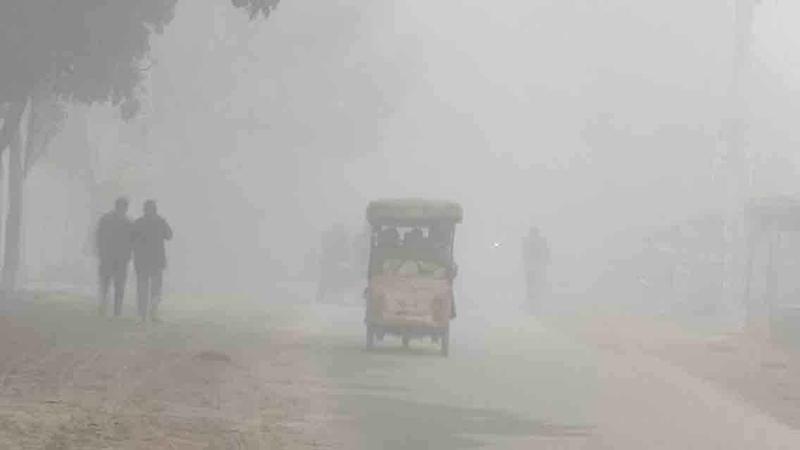 ১০ দশমিক ৩ ডিগ্রিতে কাঁপছে দিনাজপুর