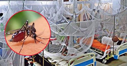 ডেঙ্গুতে আরও ৫ মৃত্যু