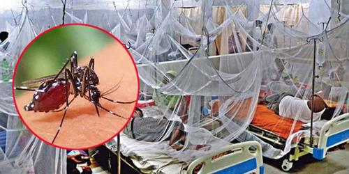 ডেঙ্গুতে প্রাণ গেল আরও ১০ জনের