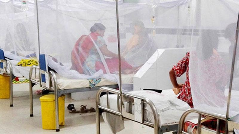 ডেঙ্গুতে আরও ২ জনের মৃত্যু, হাসপাতালে ভর্তি ৯৬১
