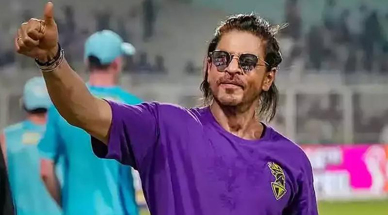 ঠান্ডা পুলে ডুব, তিনবার কলকাতা-চেন্নাই ম্যাচ দেখলেন  শারুখ!