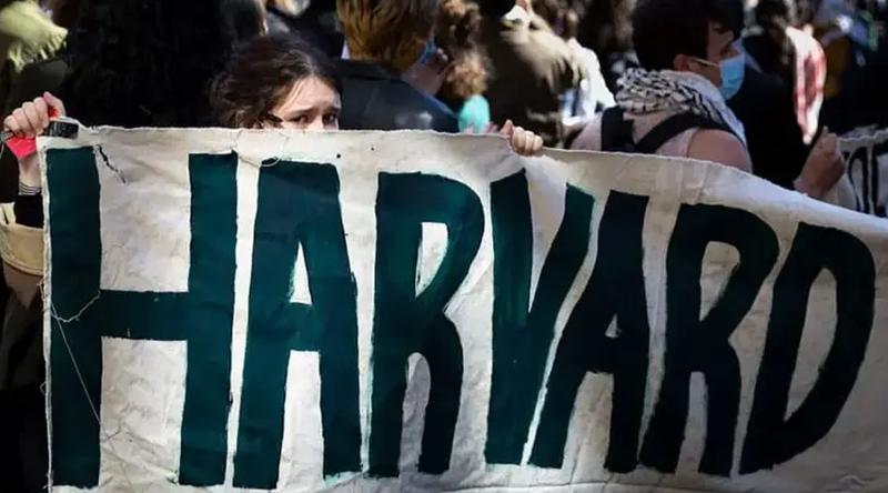 বিদেশি শিক্ষার্থীদের তথ্য না দিলে হার্ভার্ডের আন্তর্জাতিক ভর্তির অনুমতি বাতিলের হুমকি ট্রাম্প প্রশাসনের