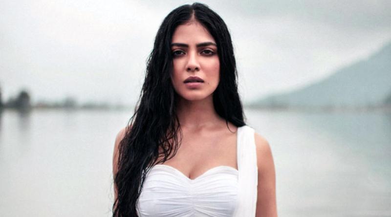 কোন সমালোচনার মুখে মালবিকা মোহনন?