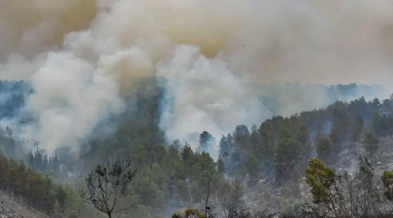ভয়াবহ দাবানলে ছাই হলো ইসরায়েল