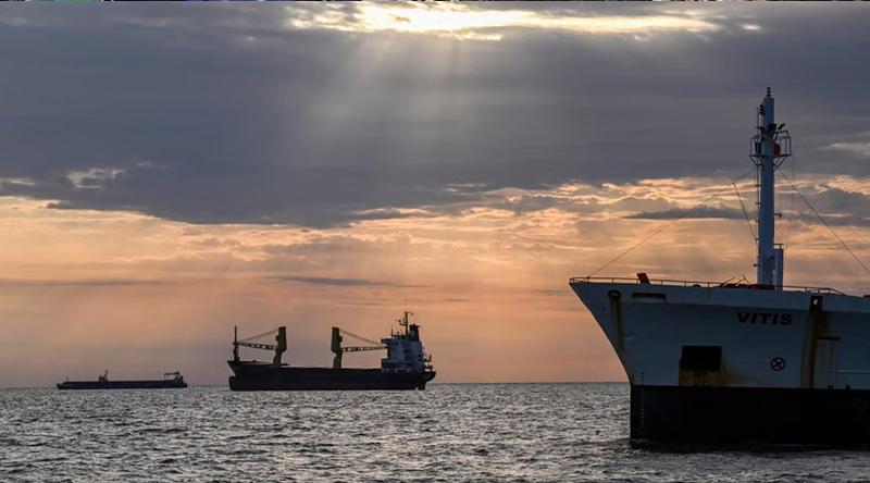 ৮২ হাজার লিটার ডিজেল ছড়িয়ে পড়েছে দানিউব নদীতে
