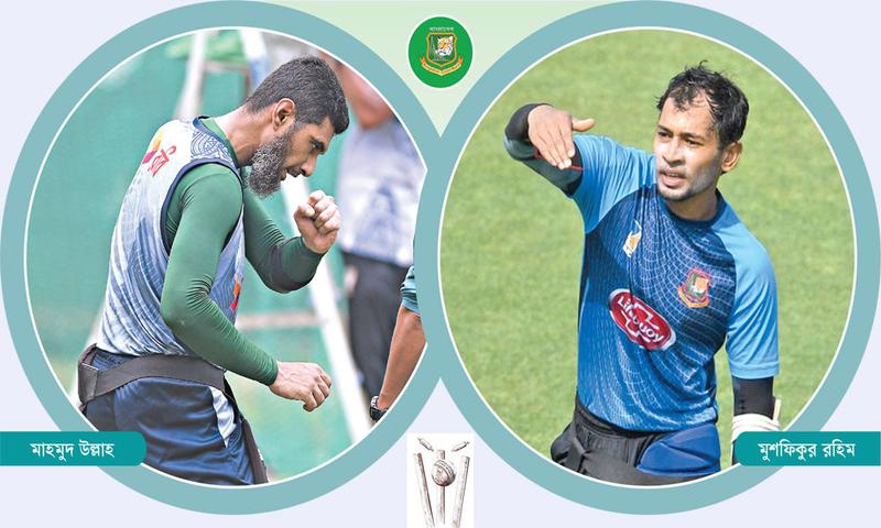 মুশফিক-মাহমুদের বিদায় পরিকল্পনা নিয়ে বিসিবির প্রস্তুতি