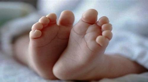 শহীদ মিনারের পাশ থেকে  নবজাতকের মরদেহ উদ্ধার