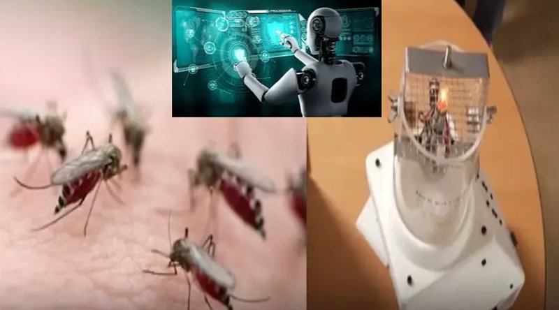 এআই প্রযুক্তিতে শনাক্ত হবে ডেঙ্গু-ম্যালেরিয়া বাহক মশা!