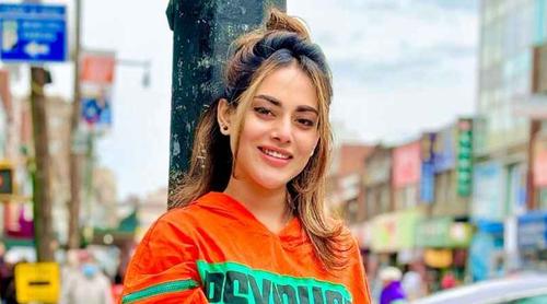 সামাজিক যোগাযোগ মধ্যমে ক্ষোভ ঝারলেন তমা মির্জা