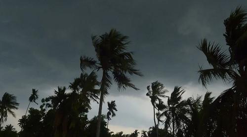 দুপুরের মধ্যে ৩ জেলায় ঝড়ের আভাস