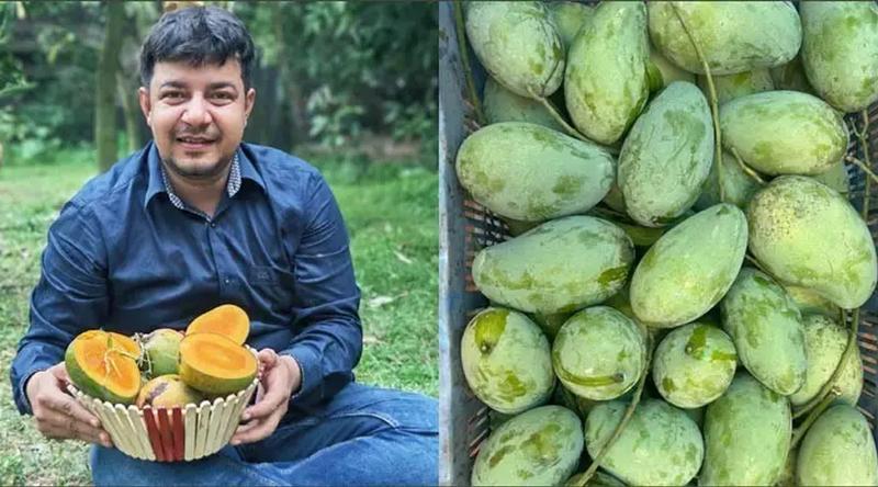 ভুয়া অর্ডার দিয়ে বেশি হয়রানি করেছে জামায়াতের ভাইয়েরা: তারেক রহমান