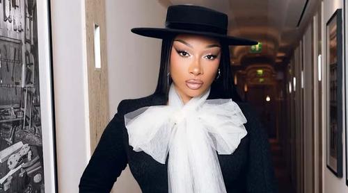 লাইভ শোতেই হঠাৎ অসুস্থ হয়ে পড়লেন সঙ্গীতশিল্পী মেগান থি স্ট্যালিয়ন