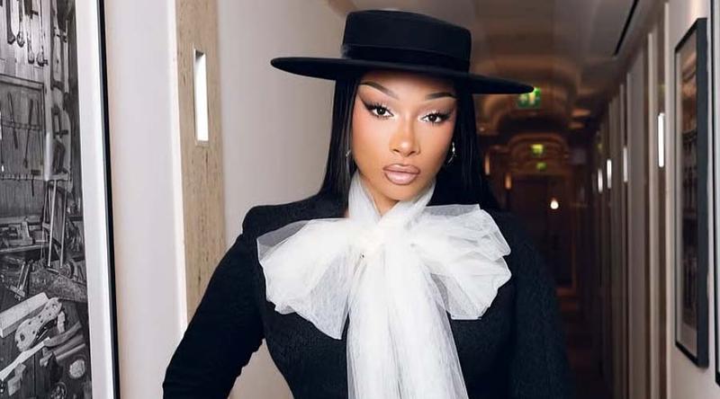 লাইভ শোতেই হঠাৎ অসুস্থ হয়ে পড়লেন সঙ্গীতশিল্পী মেগান থি স্ট্যালিয়ন