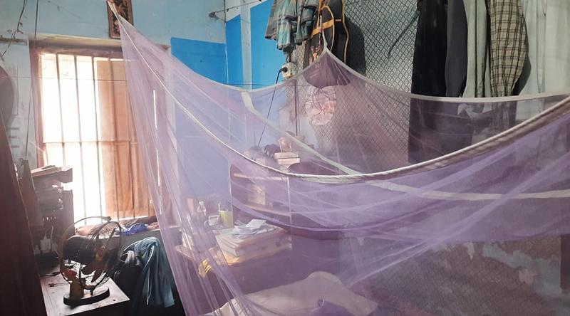 নজরুল হলে নতুন আতঙ্ক মশা!