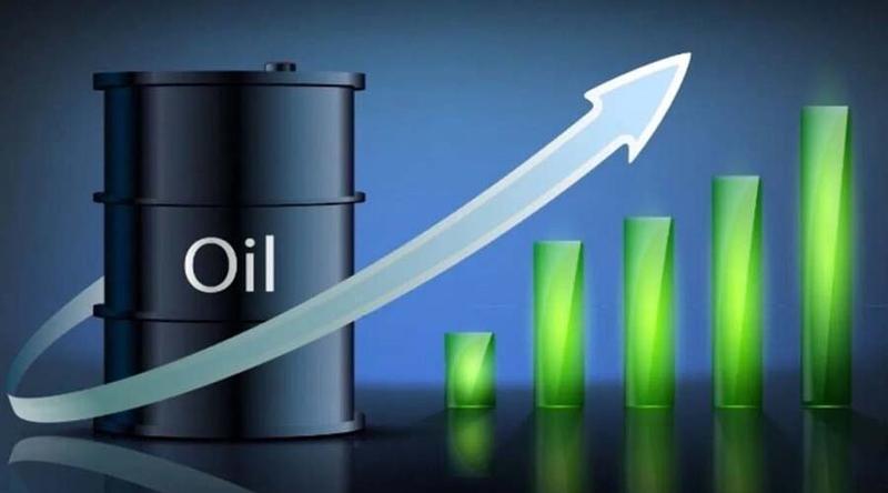 বিশ্ববাজারে বাড়ল তেলের দাম