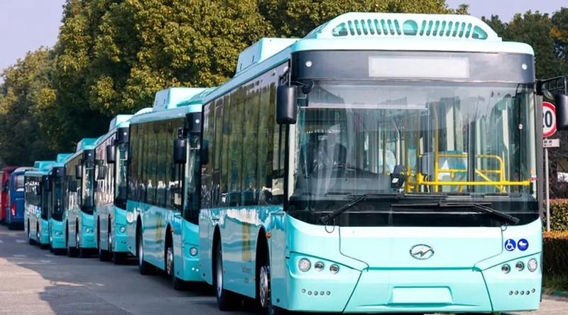 পাকিস্তানের রাজধানীতে সব গণপরিবহনের ভাড়া ফ্রি ঘোষণা