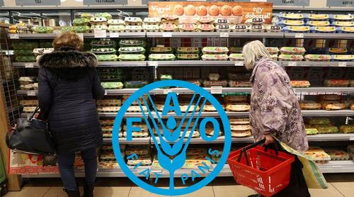 জ্বালানি ব্যয়ের প্রভাবে বৈশ্বিক খাদ্যমূল্য বাড়ল ২.৪ শতাংশ