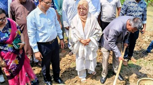 ড্রেনেজ ব্যবস্থা ঠিক থাকলে আলুতে এত ক্ষতি হতো না: খাদ্য প্রতিমন্ত্রী