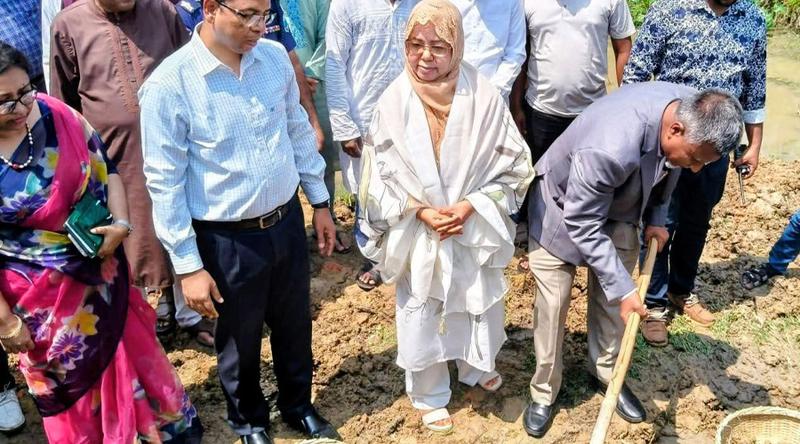 ড্রেনেজ ব্যবস্থা ঠিক থাকলে আলুতে এত ক্ষতি হতো না: খাদ্য প্রতিমন্ত্রী