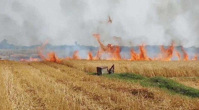 মেহেরপুরে আবারও গমের খড়ে আগুন: ১৫ বিঘা গমসহ বিভিন্ন ফসল পুড়ে ছাই
