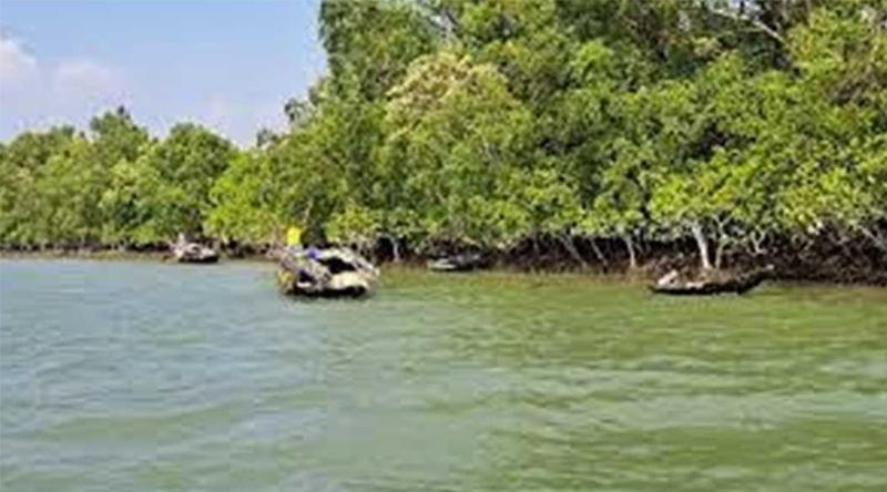 সুন্দরবনে অপহৃত ৬ জেলে উদ্ধার, এখনো নিখোঁজ ৪ জন