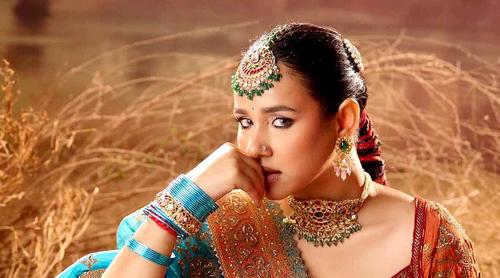 গান থামিয়ে আতঙ্কে মঞ্চ ছাড়লেন পাঞ্জাবি সঙ্গীতশিল্পী সুনন্দা শর্মা!