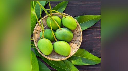 গরমে স্ট্রোকের ঝুঁকি কমাতে পারে কাঁচাআম