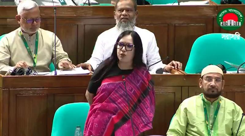 আমাকে মনোনয়ন না দেওয়ায় বিএনপিকে ধন্যবাদ : রুমিন ফারহানা