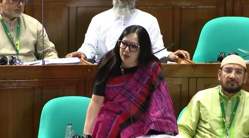 রাষ্ট্রপতি নিজের মতো ভাষণ দিতে পারেননি, ক্ষমতার ভারসাম্য কোথায়: প্রশ্ন রুমিন ফারহানার