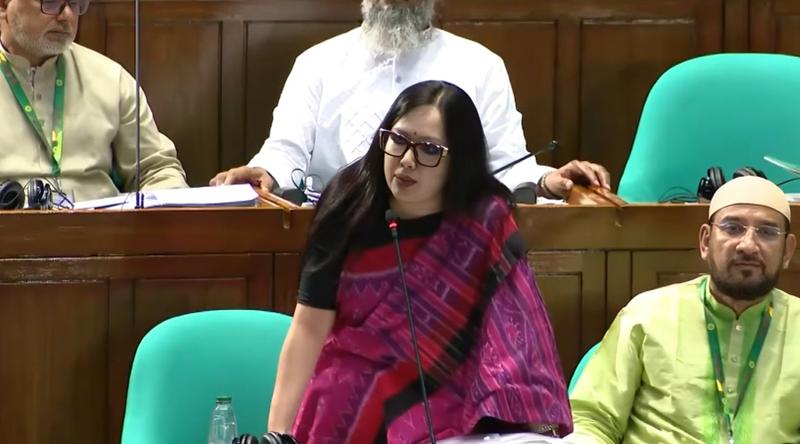 রাষ্ট্রপতি নিজের মতো ভাষণ দিতে পারেননি, ক্ষমতার ভারসাম্য কোথায়: প্রশ্ন রুমিন ফারহানার