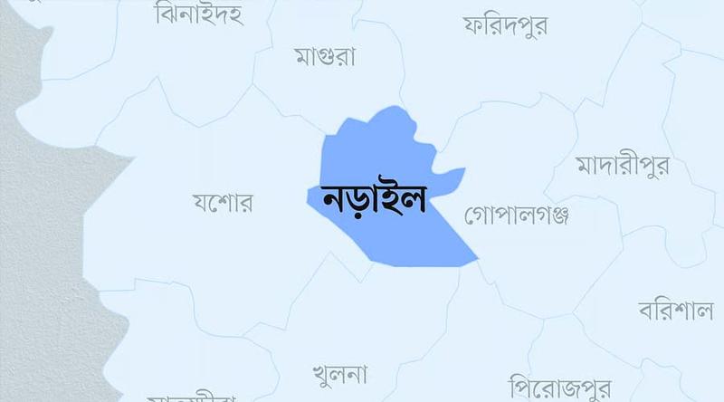 নড়াইলে টিকটক ও ফ্রি-ফায়ার নিয়ে দু'পক্ষের সংঘর্ষে আহত ১০