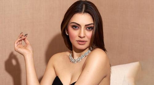 প্রাক্তন বৌদির বিরুদ্ধে মানহানির মামলা, দুই কোটি টাকা ক্ষতিপূরণ দাবি হানসিকার