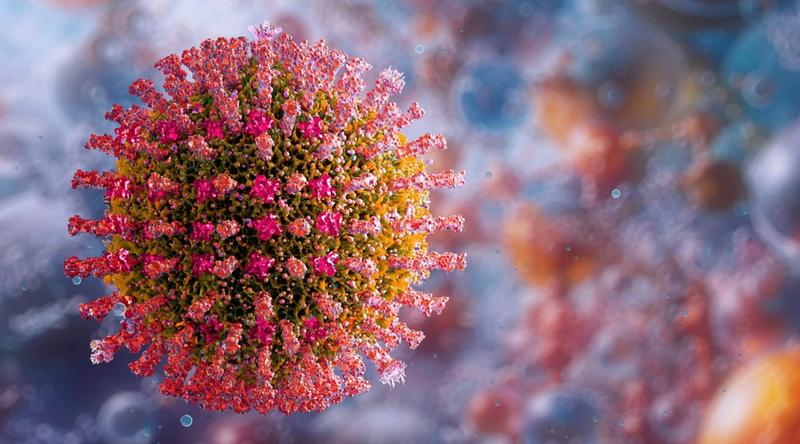 হাম ও উপসর্গ নিয়ে একদিনে আরও ১০ শিশুর মৃত্যু, হাসপাতালে ভর্তি ১,২৬৮