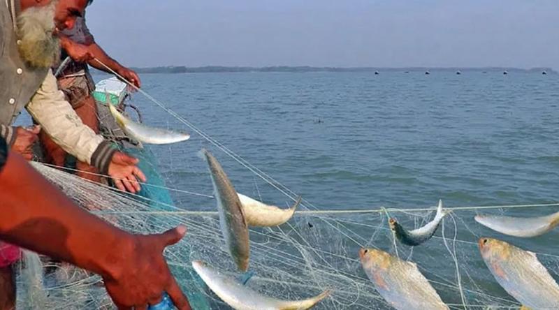 আজ থেকে শুরু হচ্ছে বঙ্গোপসাগরে মাছ ধরায় ৫৮ দিনের নিষেধাজ্ঞা