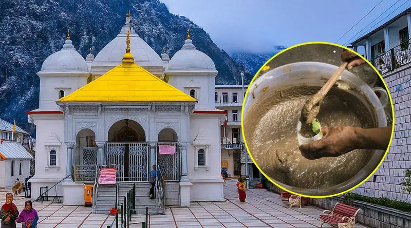 গোমূত্রসহ ‘পঞ্চগব্য’ পান বাধ্যতামূলক করলো ভারতের গঙ্গোত্রী মন্দির