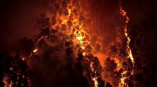 জাপানে বিধ্বংসী দাবানল, ছড়িয়ে পড়ছে লোকালয়েও