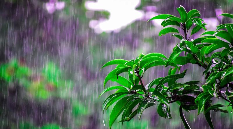 শনিবার থেকে দেশের দুই বিভাগে ভারী থেকে অতিভারি বৃষ্টির আভাস