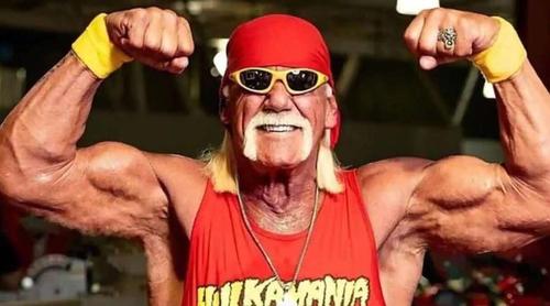 নেটফ্লিক্স সিরিজে হাল্ক হোগানের উত্থান ও পতনের নেপথ্য গল্প