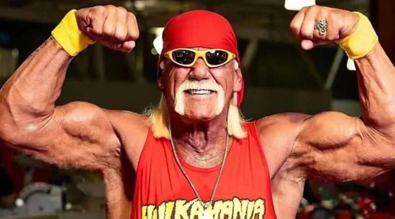 নেটফ্লিক্স সিরিজে হাল্ক হোগানের উত্থান ও পতনের নেপথ্য গল্প