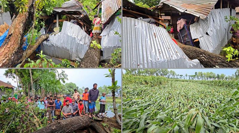 কালবৈশাখীর তাণ্ডবে লন্ডভন্ড ঠাকুরগাঁও