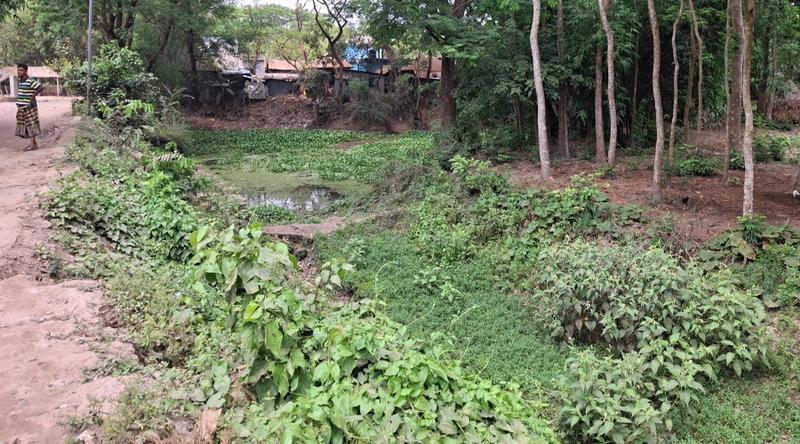 দেবিদ্বারে খাল দখলে বন্ধ পানি চলাচল, বিপাকে ৬০০ বিঘা জমির কৃষক ও জনজীবন