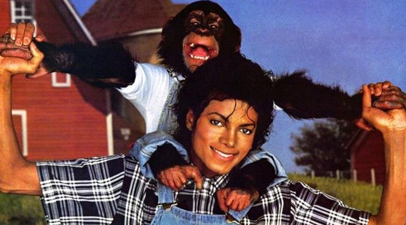 মাইকেলের প্রিয় শিম্পাঞ্জি এখন কোথায়?