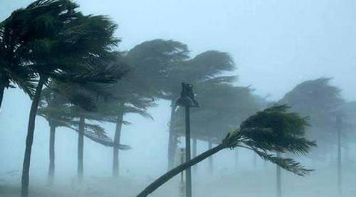 জামালপুরে ঝড়ে গাছের নিচে চাপা পড়ে প্রাণ গেল মা ও ২ মেয়ের