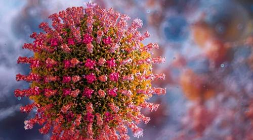 সিলেটে হামের উপসর্গ নিয়ে আরও এক শিশুর মৃত্যু